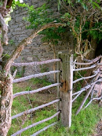 A rustic post-and-rail wooden fence in front of an old stone wall covered in wisteria