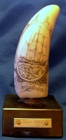 An engraved scrimshaw whale's tooth showing a sailing ship, mounted upright on a small wooden plinth with a label.