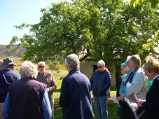 A dozen members standing in a sunlit orchard listening to a speaker, bare hills beyond the trees