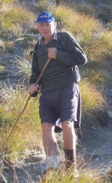 A man in a cap, shorts and a daypack climbing a tussock hillside with a long wooden walking staff